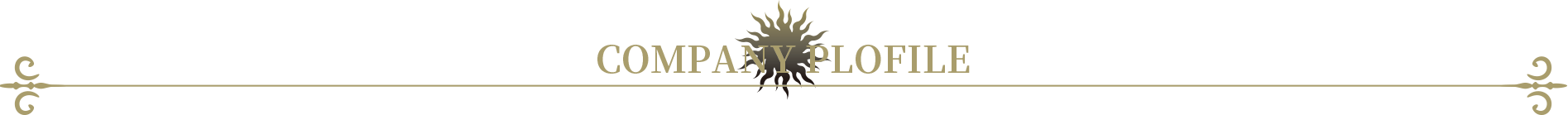 COMPANY PLROFIE