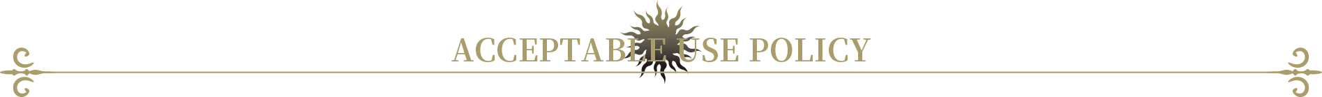 ACCEPTABLE USE POLICY